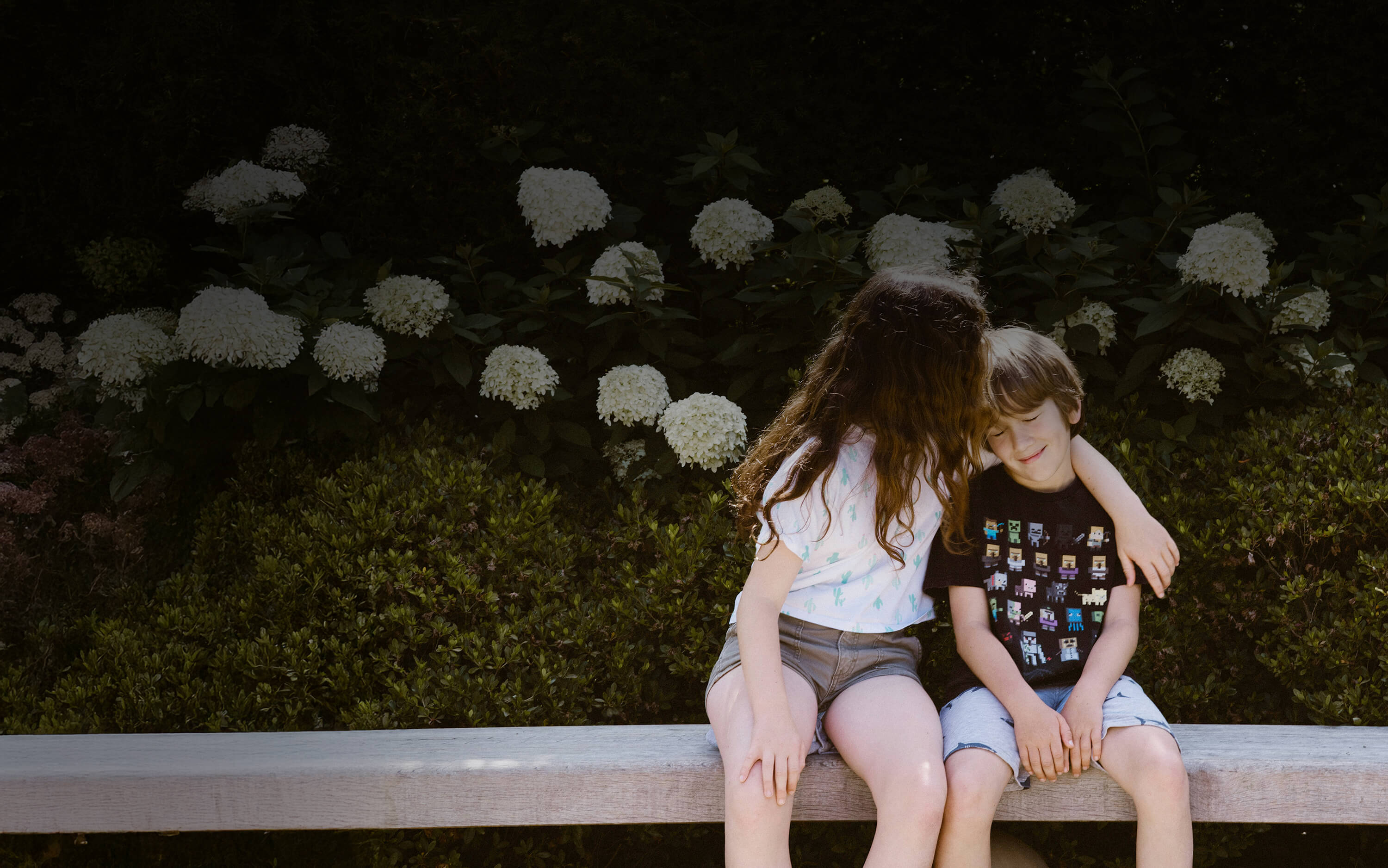 Cafs Children and Young People