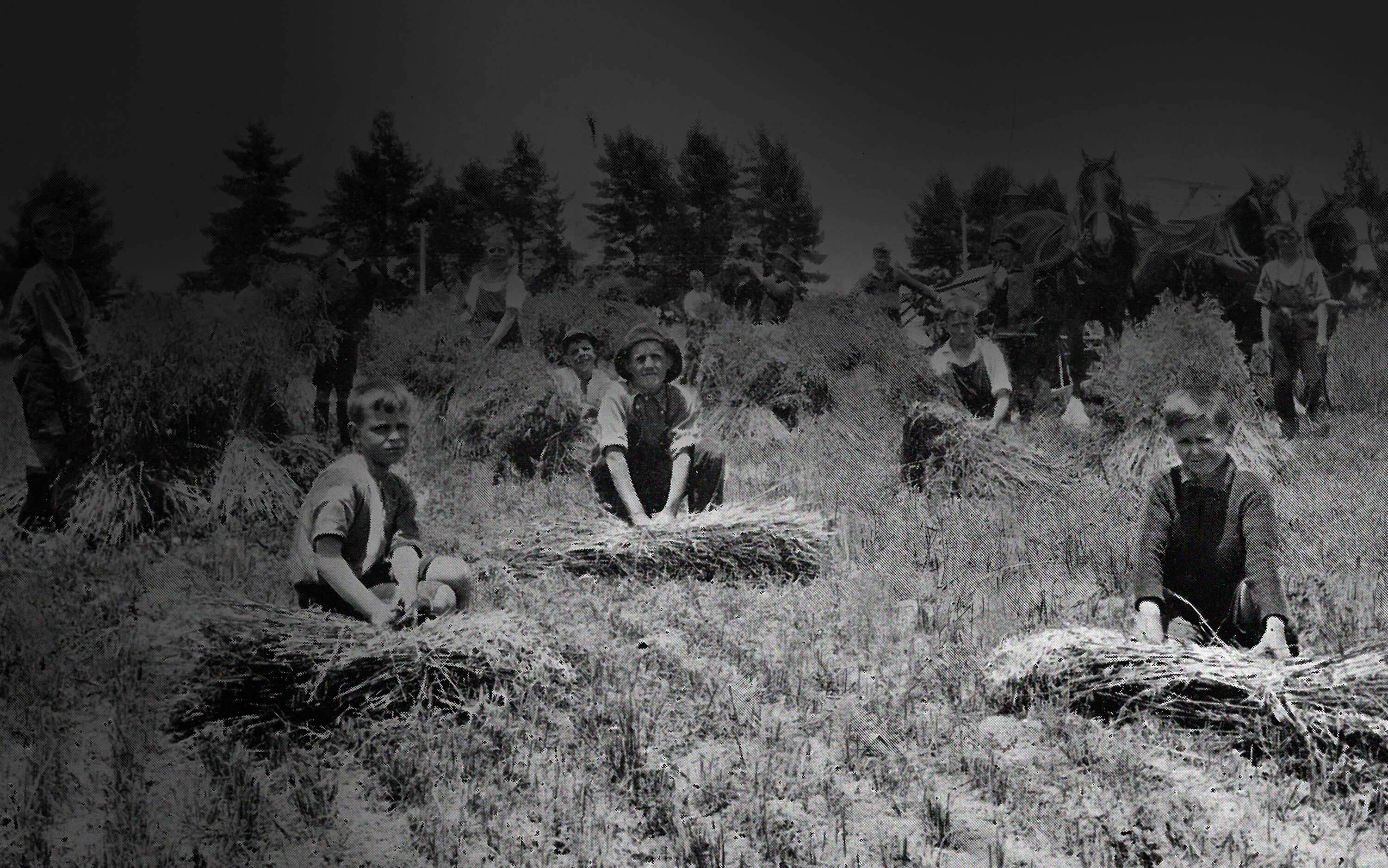 Cafs Our History & Heritage